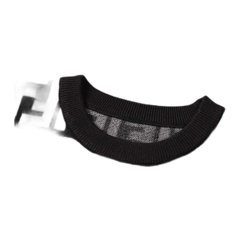 Maglione Fendi