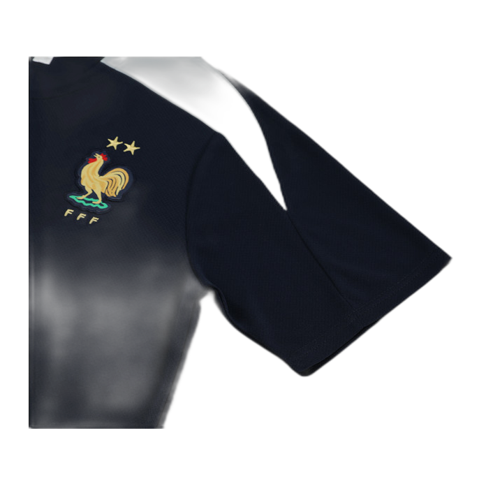 French Royal Blue