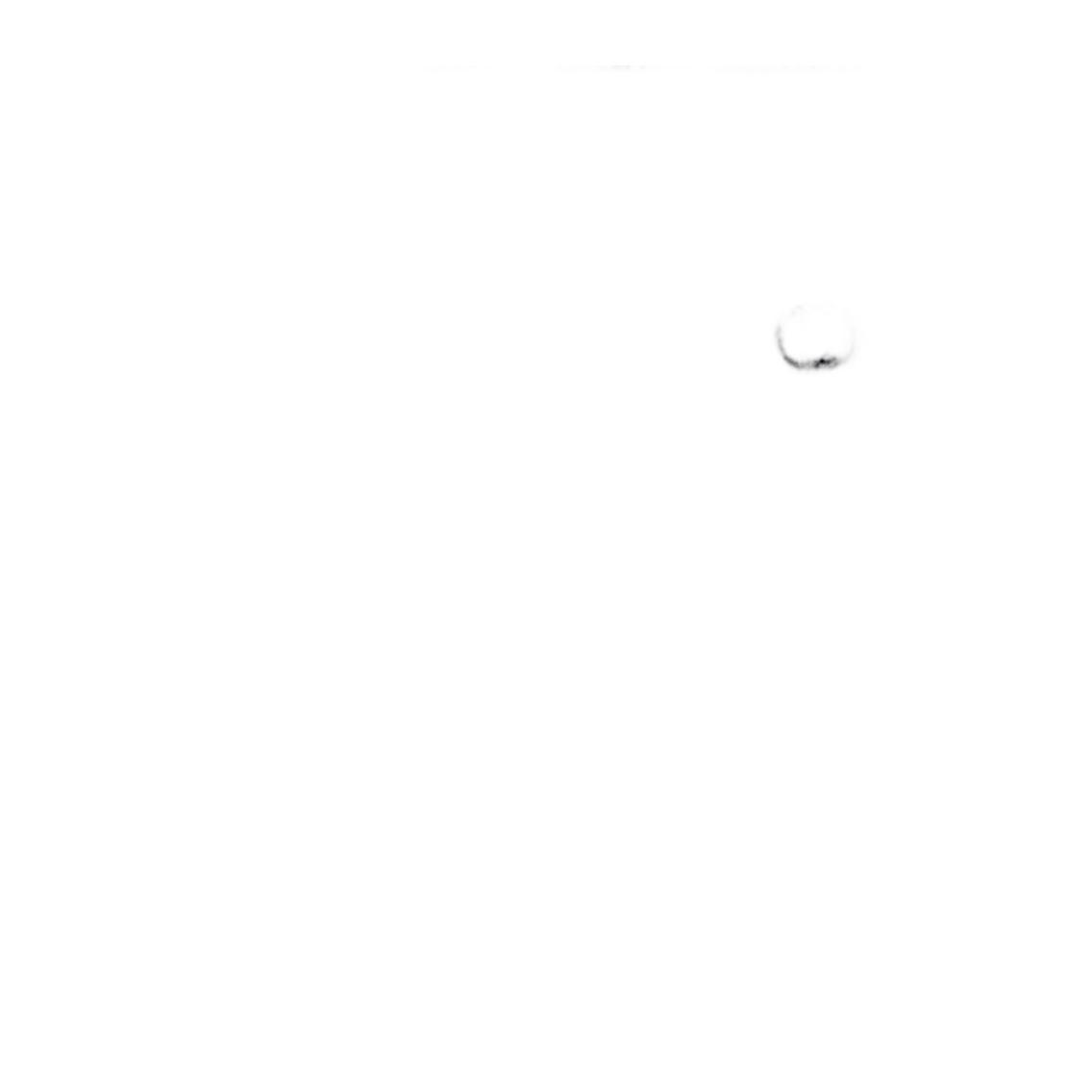 Polo – G