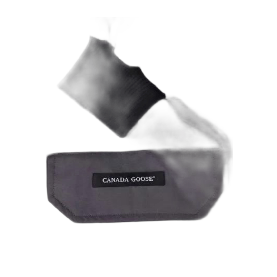 G-Canada Goose