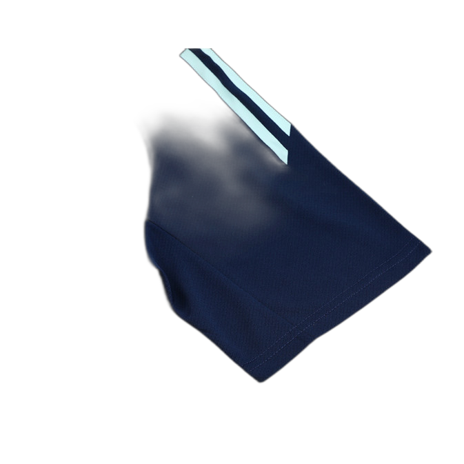 Spanish royal blue
