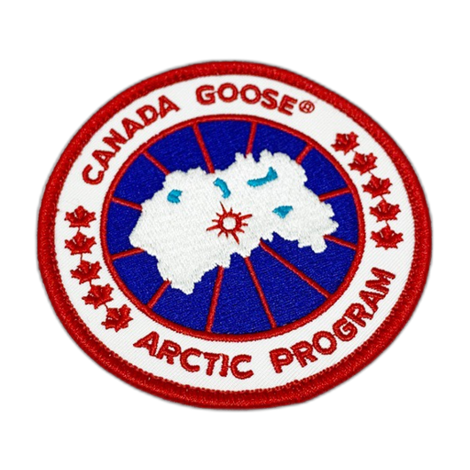 canada goose