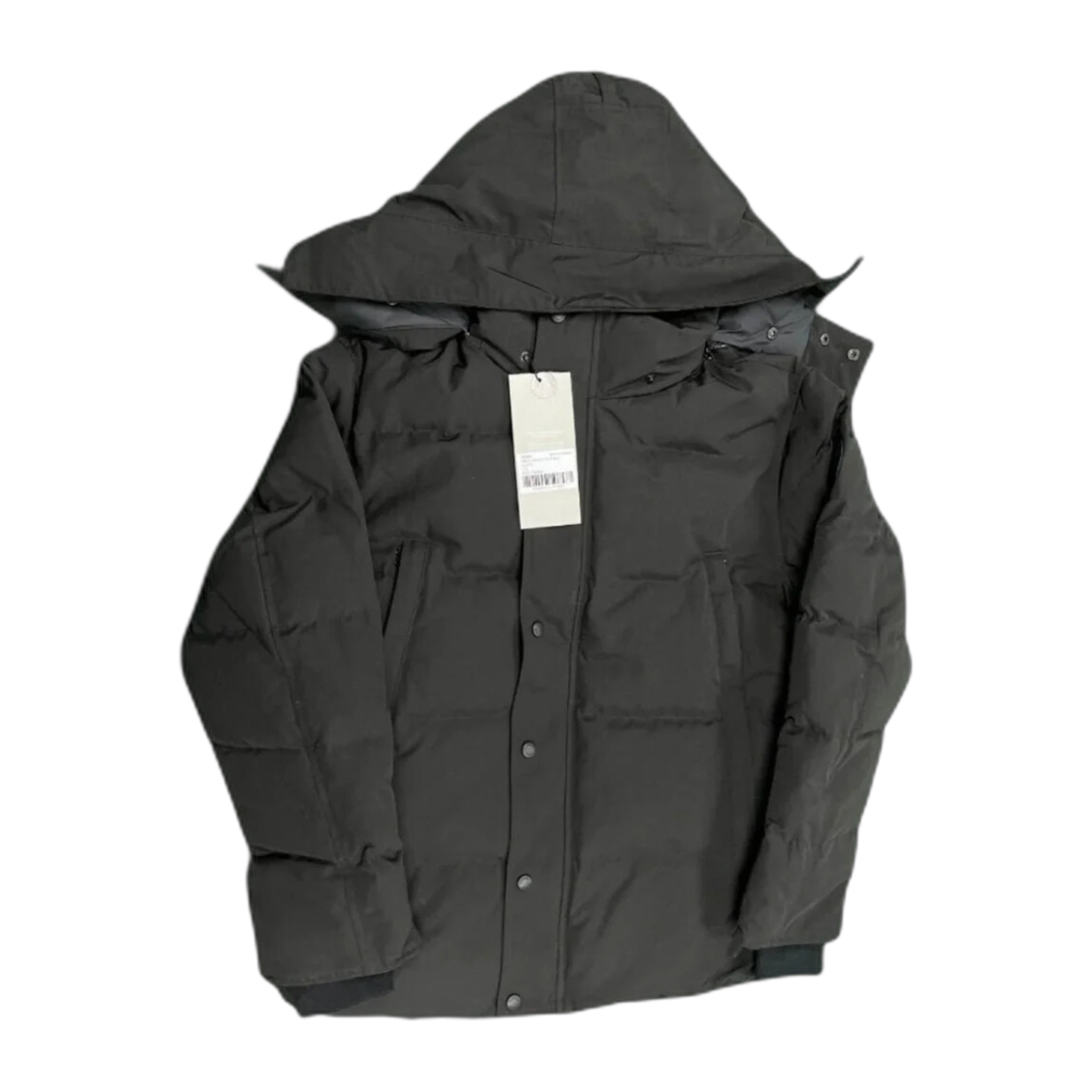 G-canada goose