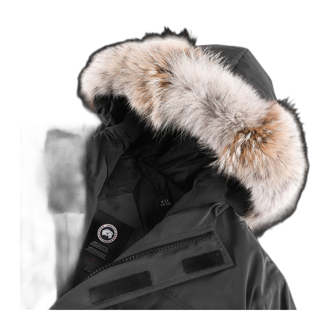 CANADA GOOSE-GRAY