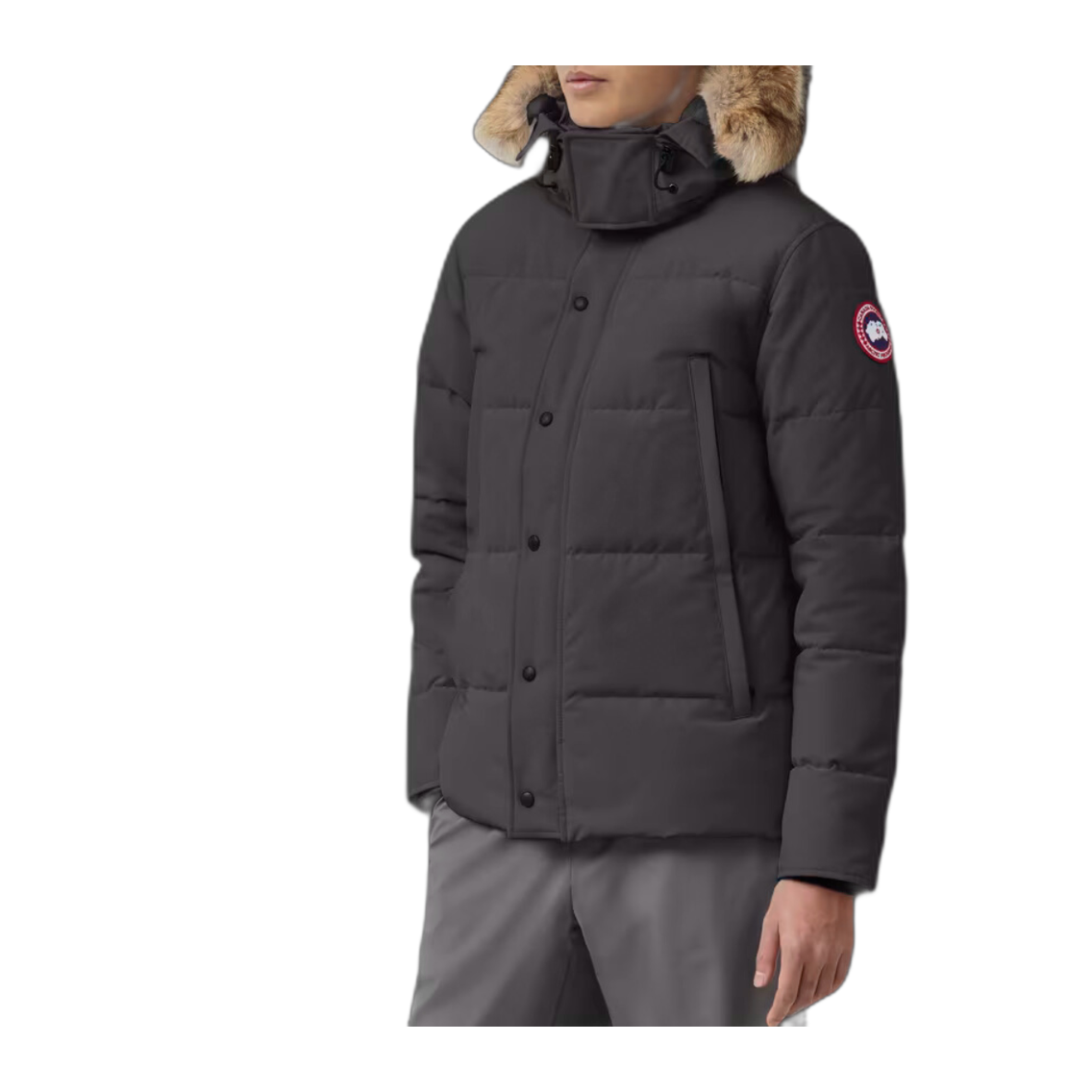 G-canada goose