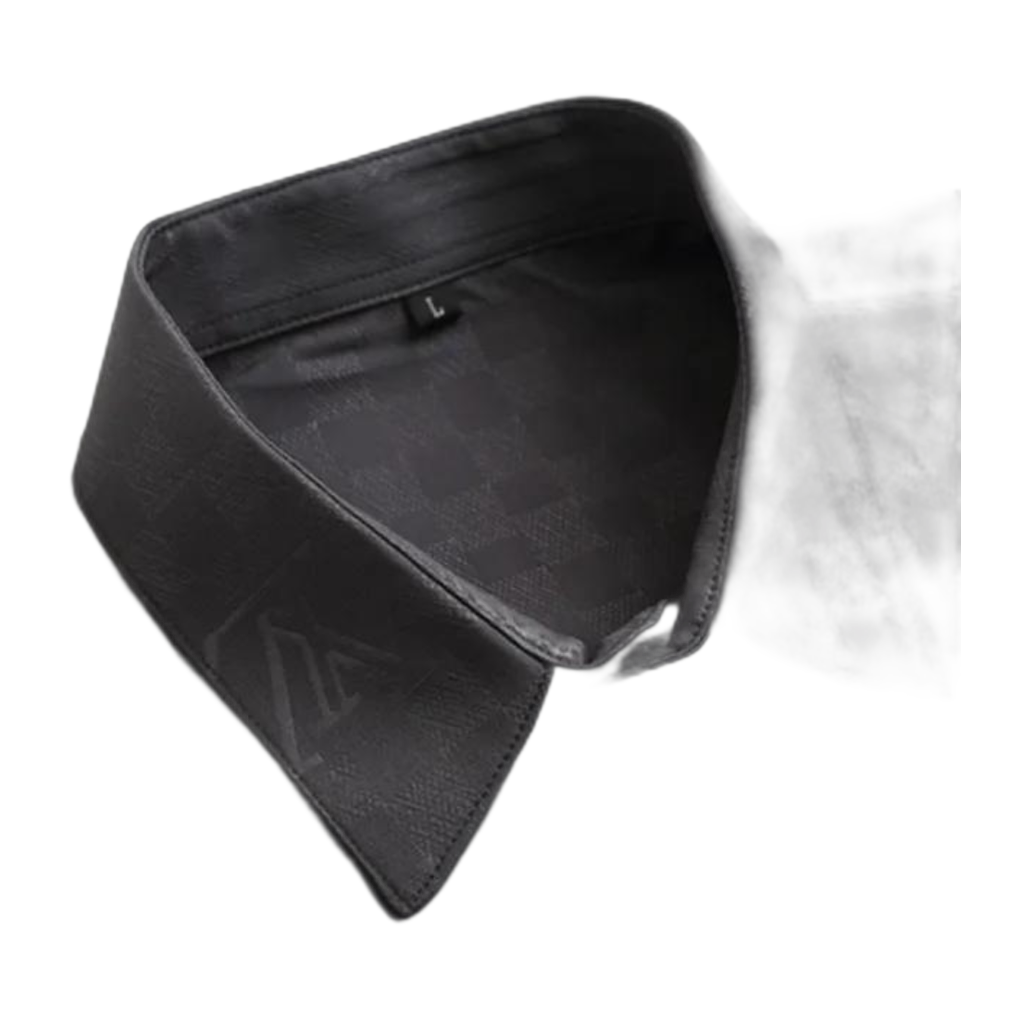 Camicia Louis Vuitton