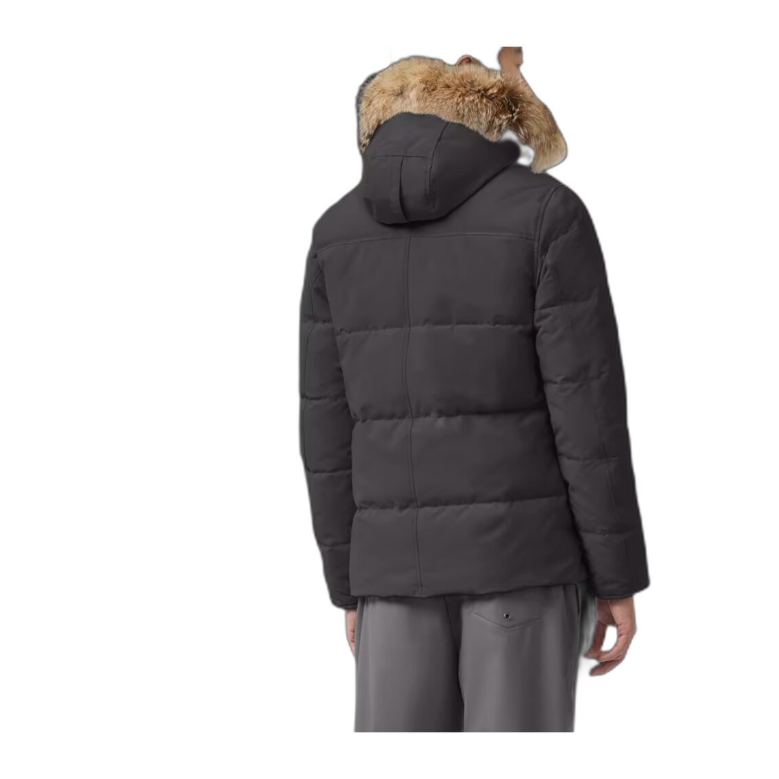G-canada goose