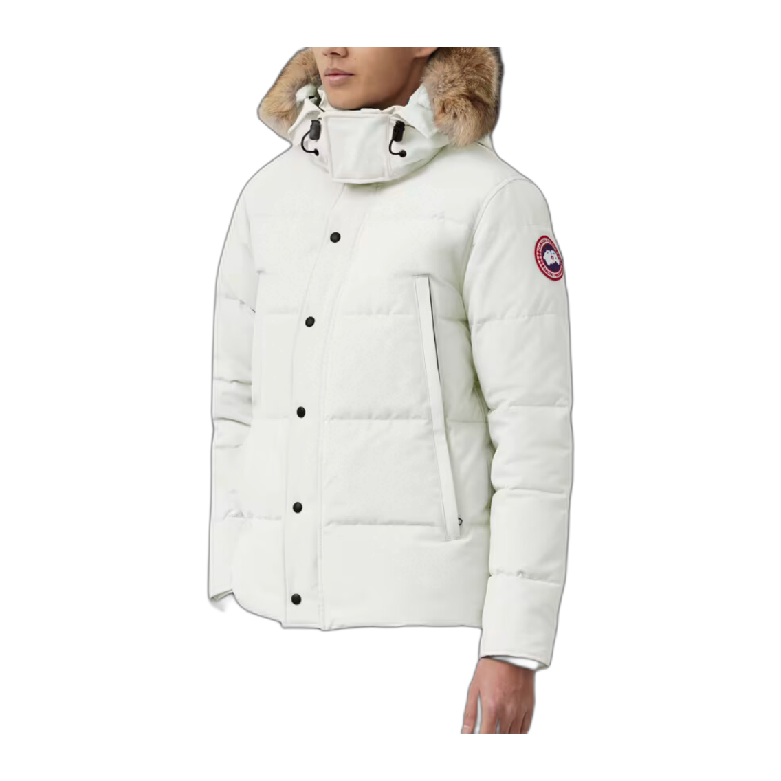 G-canada goose