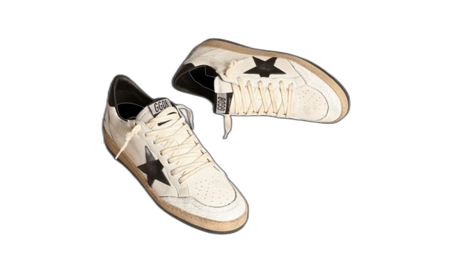 GOLDEN GOOSE – 40