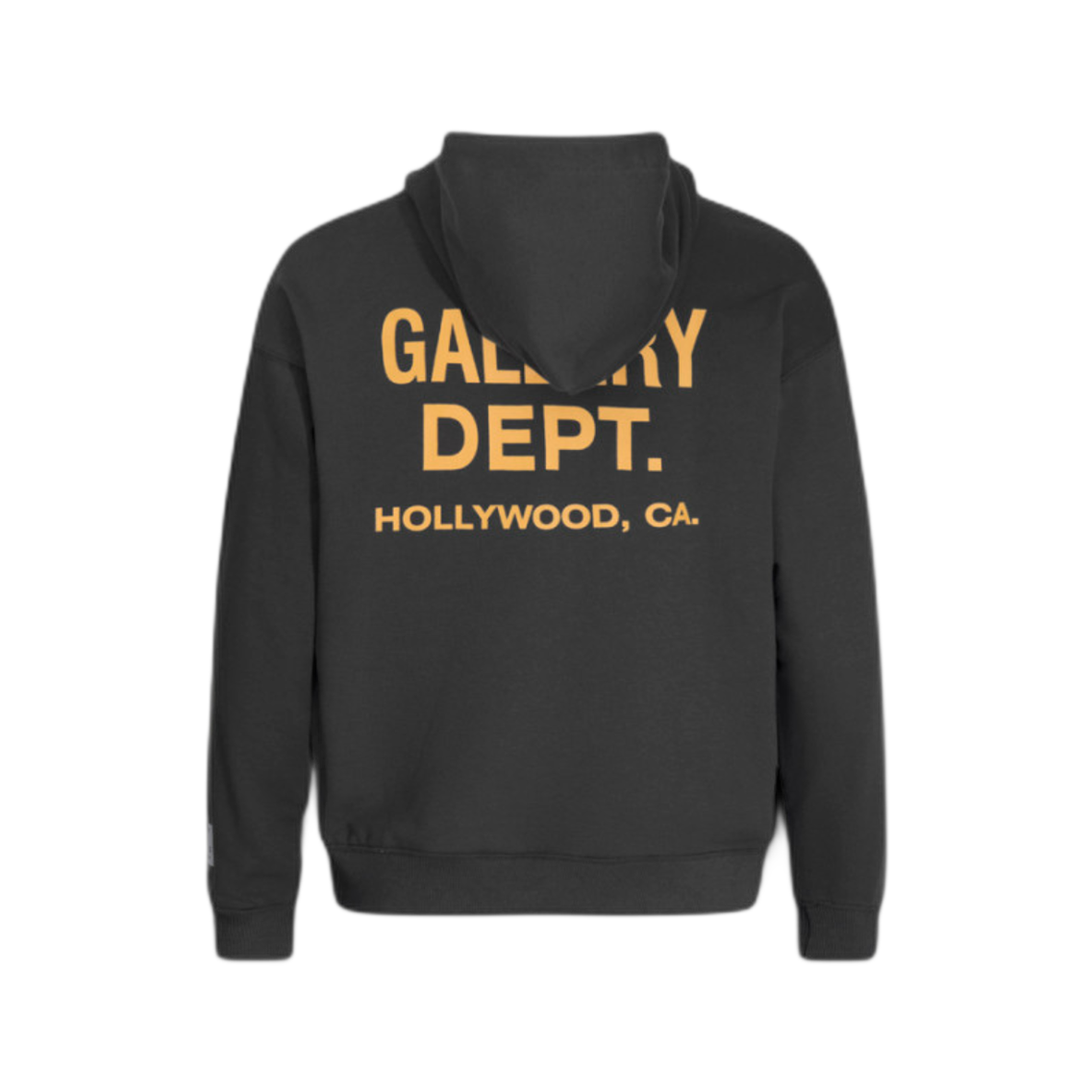 GALLERY-DPT FELPA