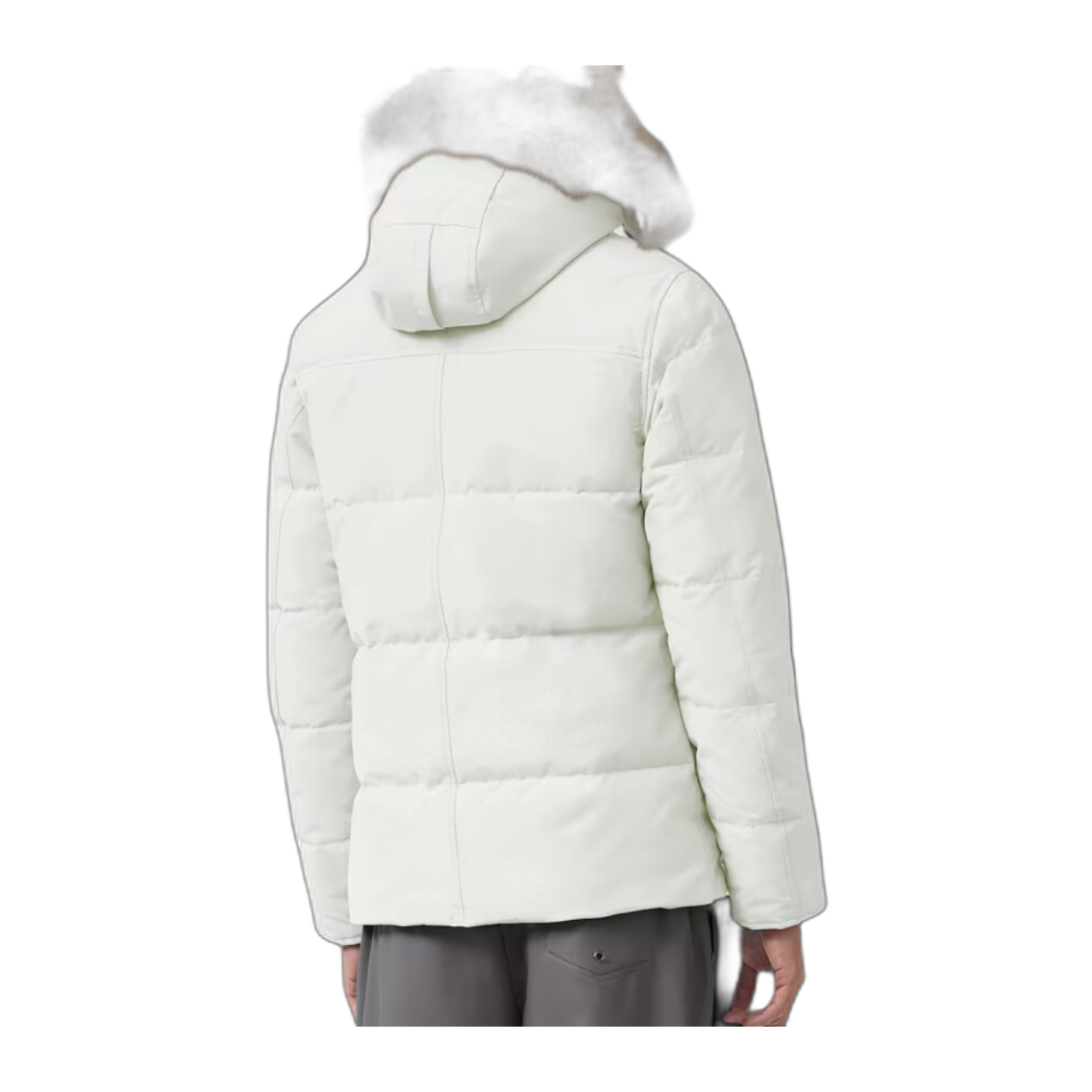 G-canada goose