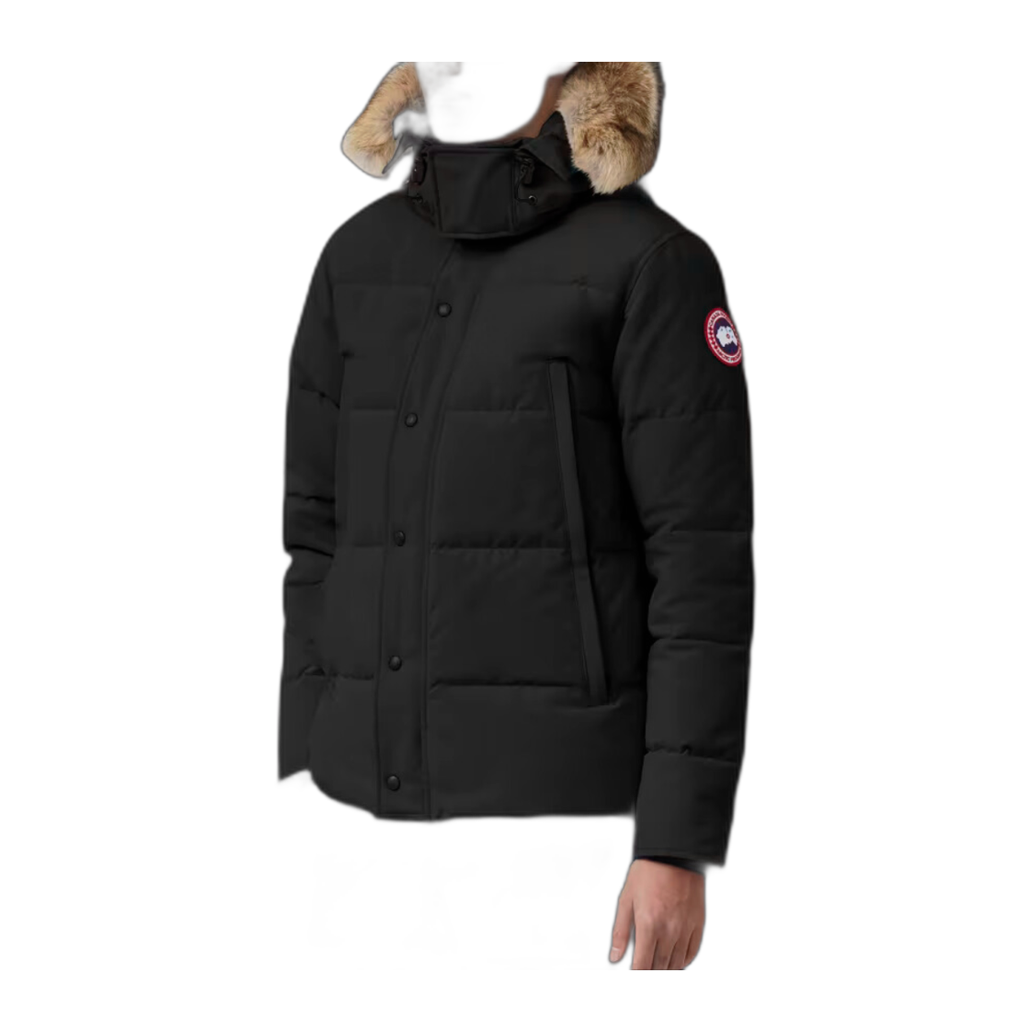 G-canada goose