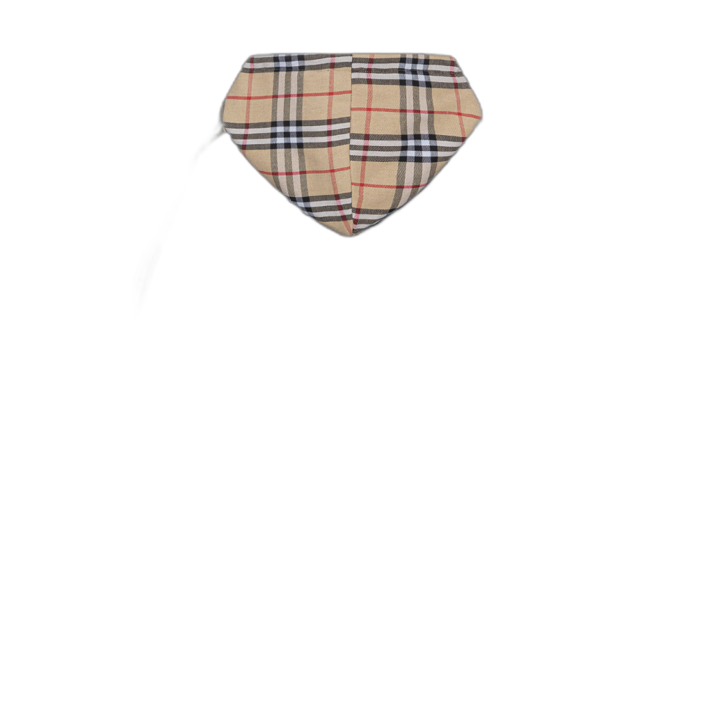 F-Burberry