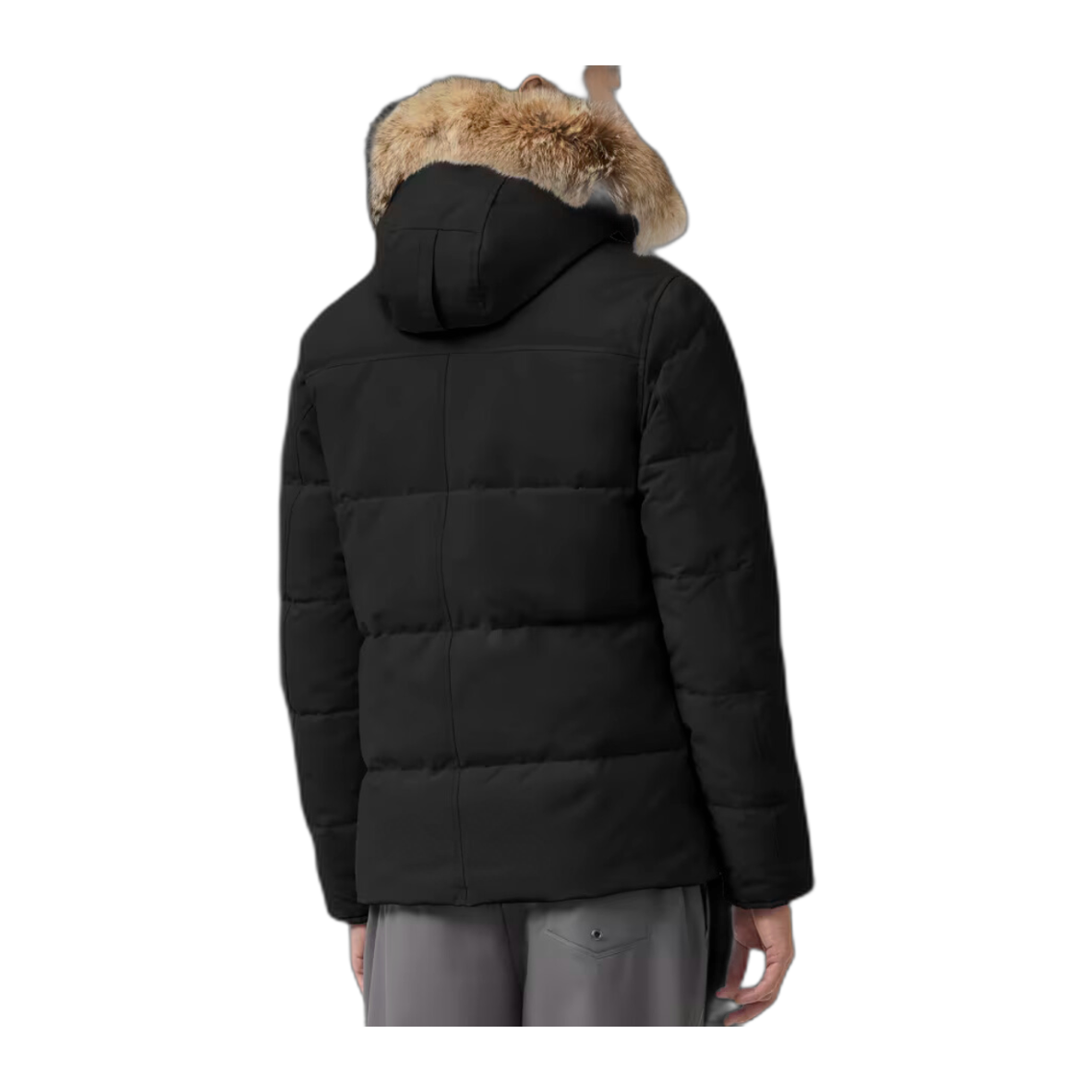 G-canada goose