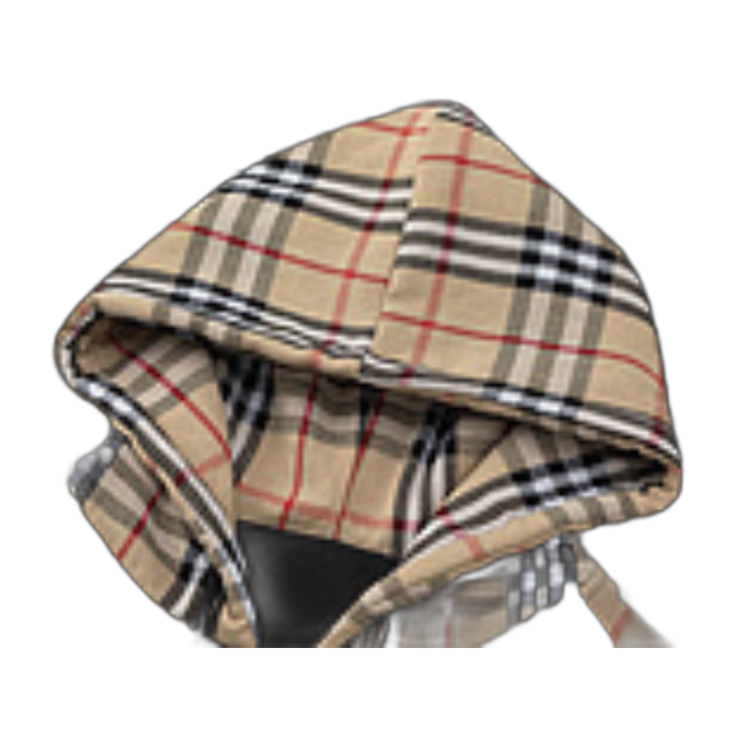 F-Burberry