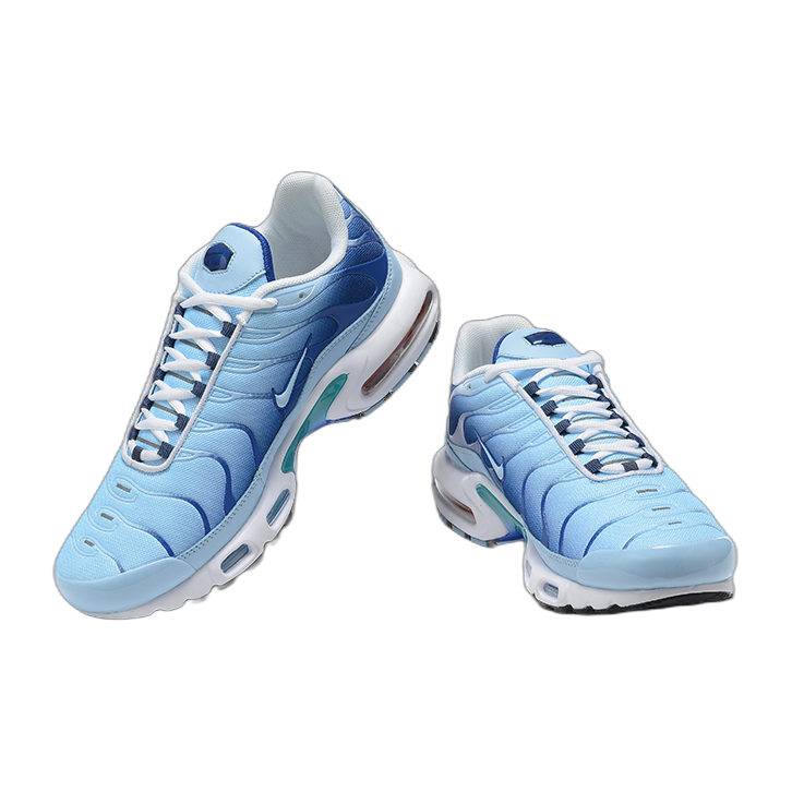 Nike Air Max Plus