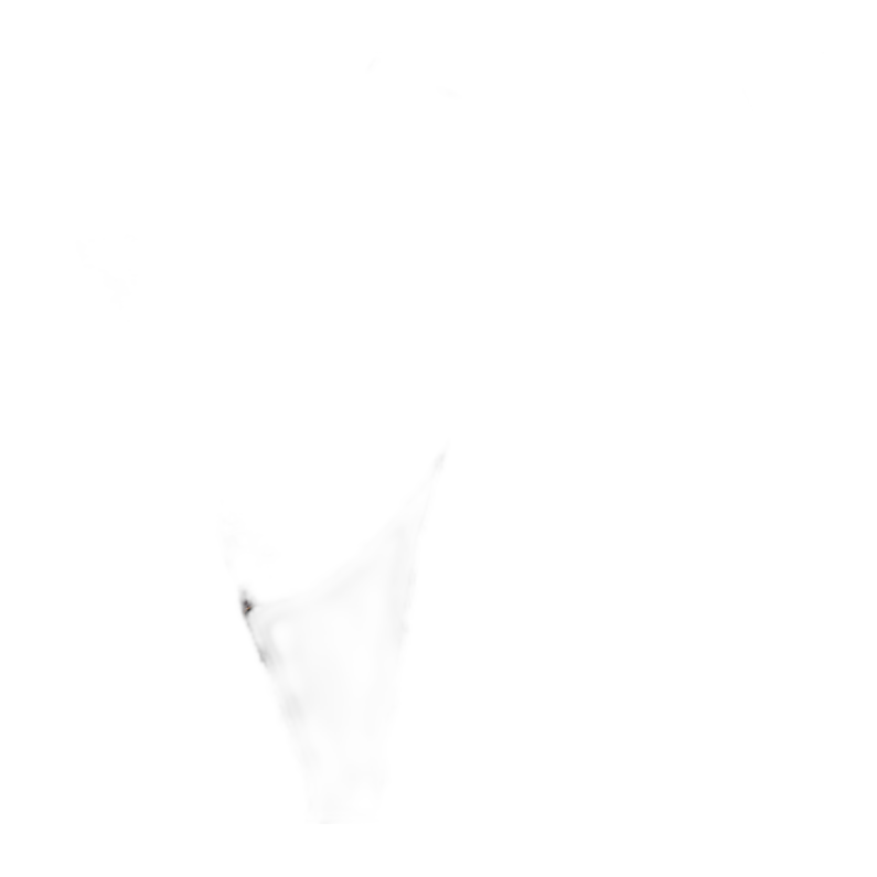 Sciarpa LV
