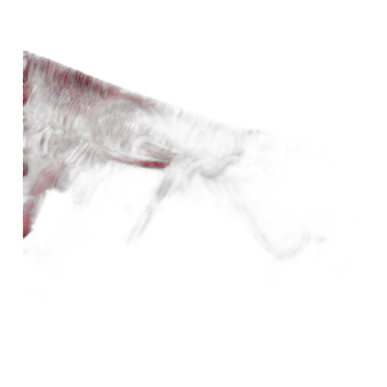SHORT GG RED