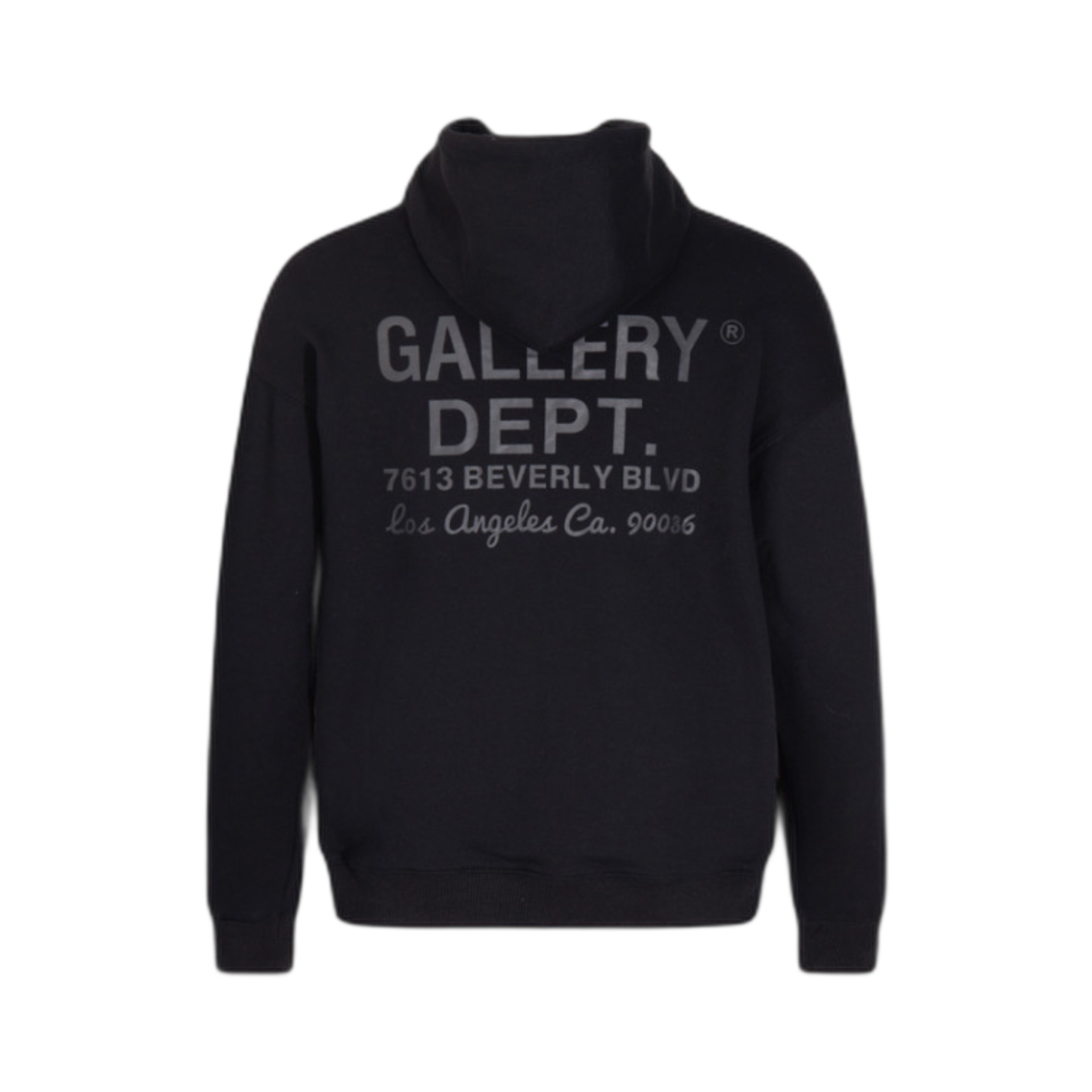 GALLERY-DPT FELPA