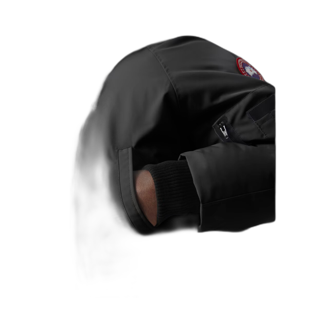 G-canada goose