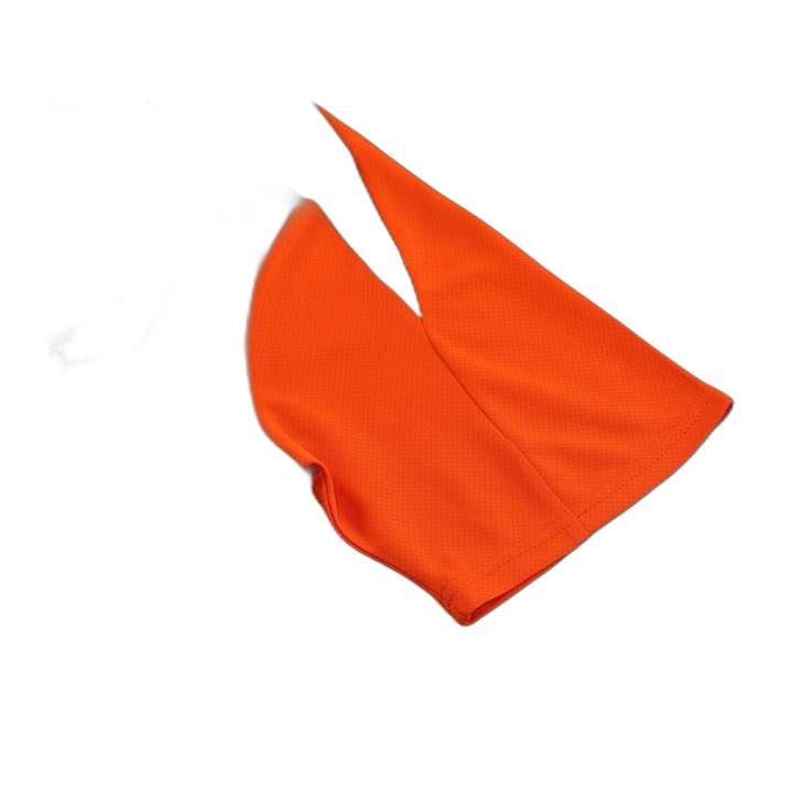 Dutch Orange