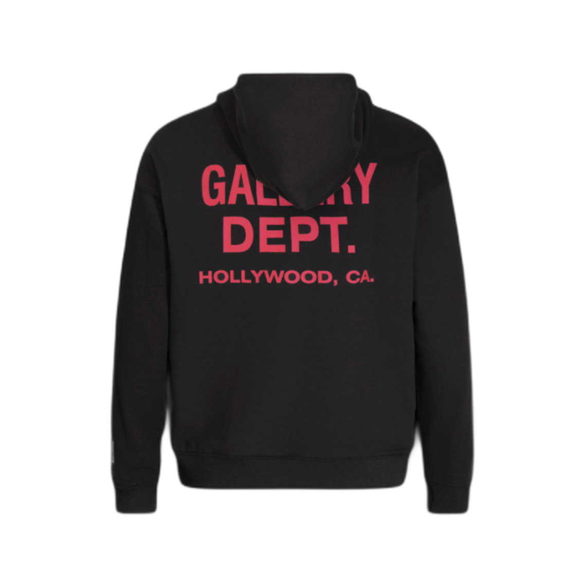 GALLERY-DPT FELPA