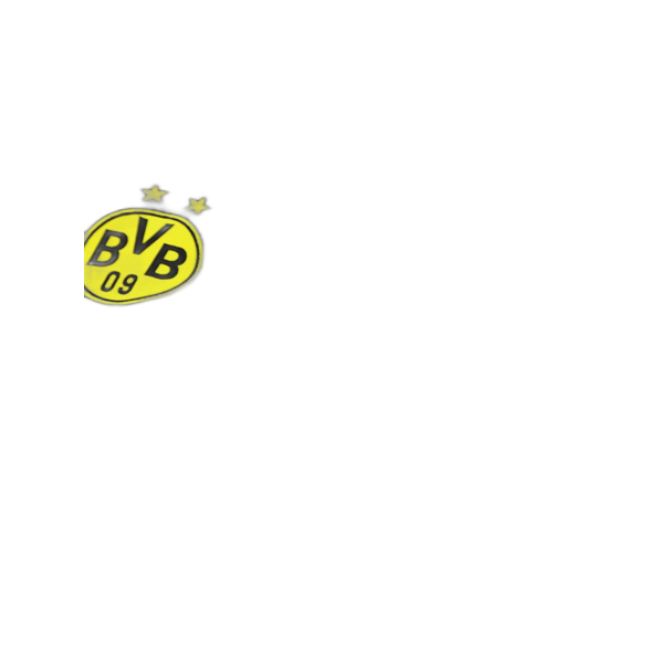 Borussia Dortmund C.F