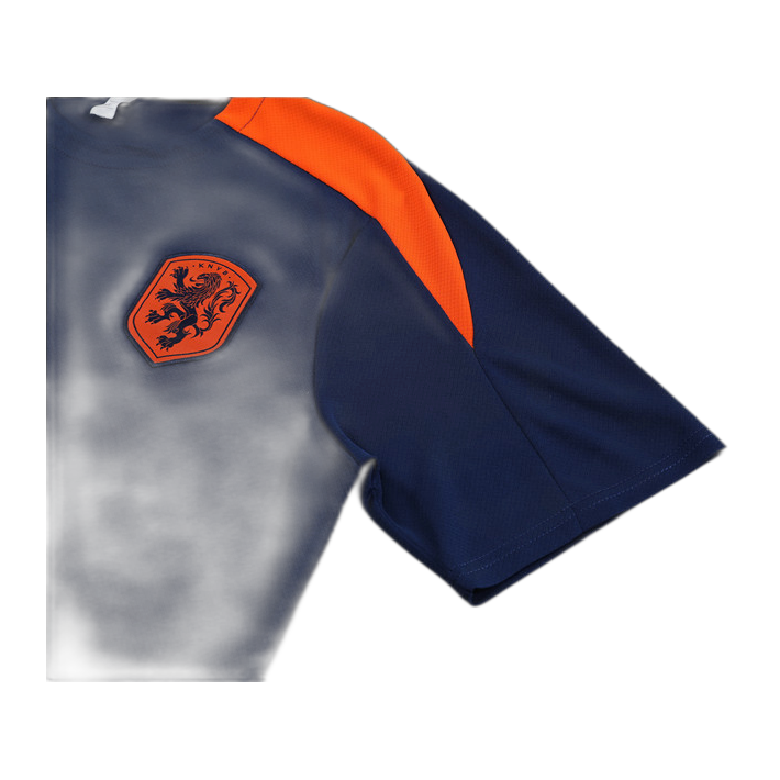 Dutch royal blue
