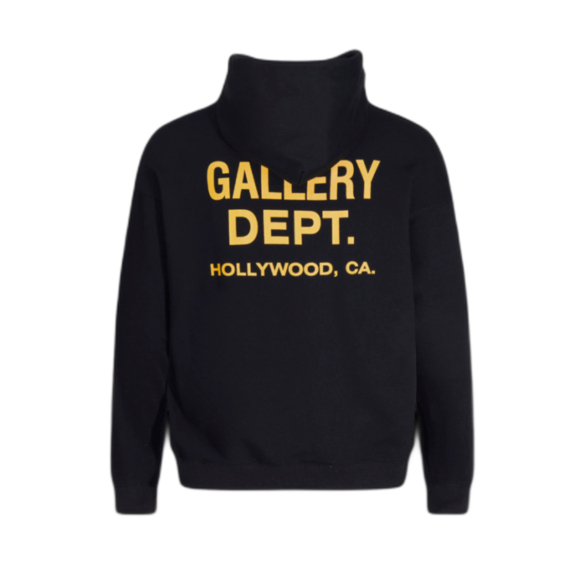 GALLERY-DPT FELPA