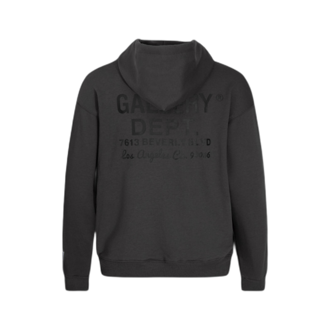 GALLERY-DPT FELPA
