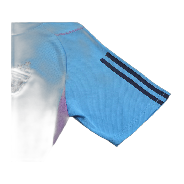 Argentina light blue