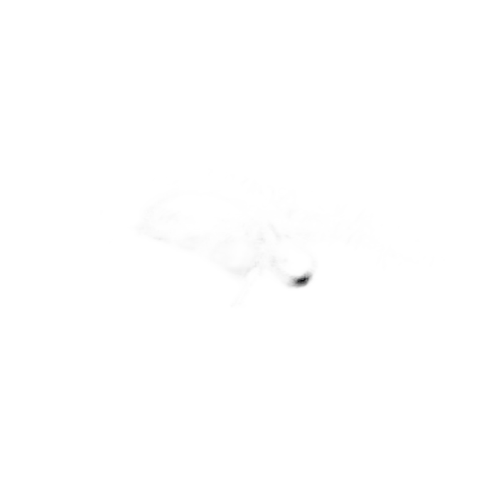 Completo-LV