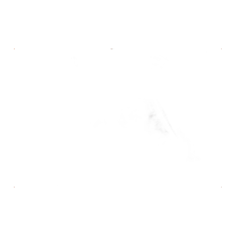 Felpa C.P. Company