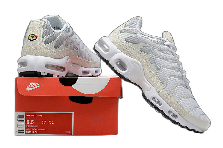 Nike Air Max Plus