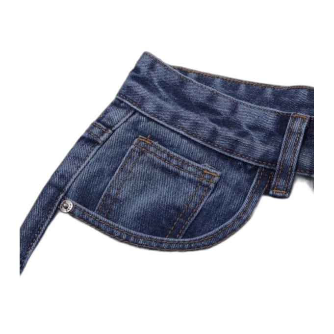 Jeans Balenciaga azzurro – con logo indietro
