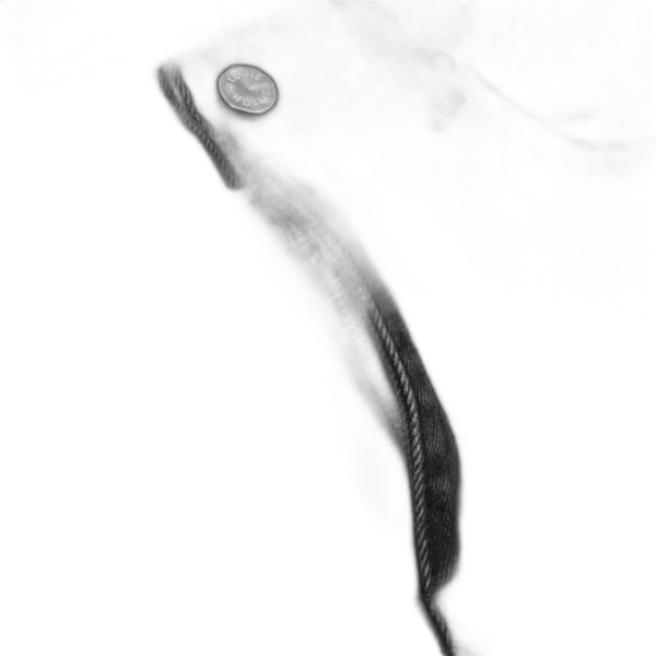 Jeans Louis Vuitton Nero – con logo sfasato