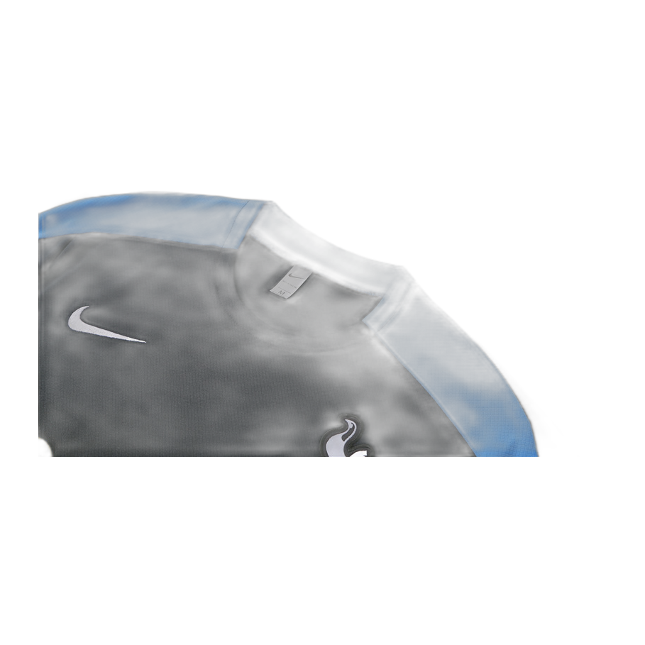 Tottenham Hotspur