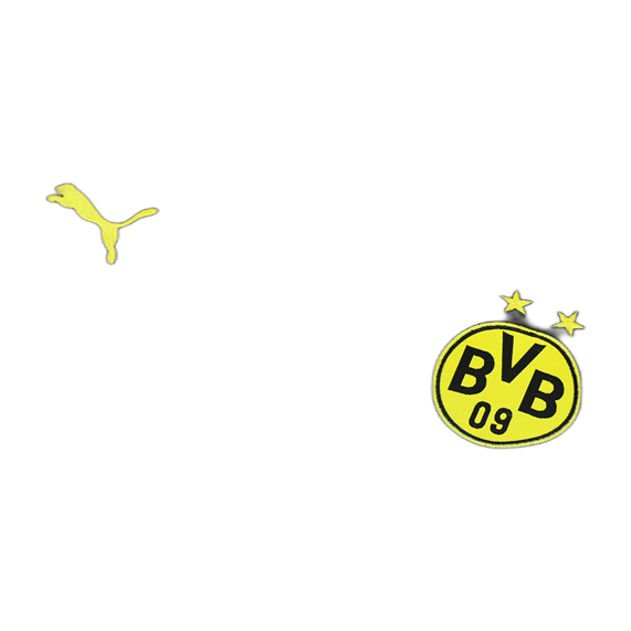Borussia Dortmund C.F