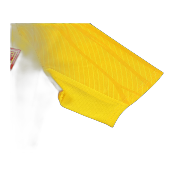 Chinese team yellow