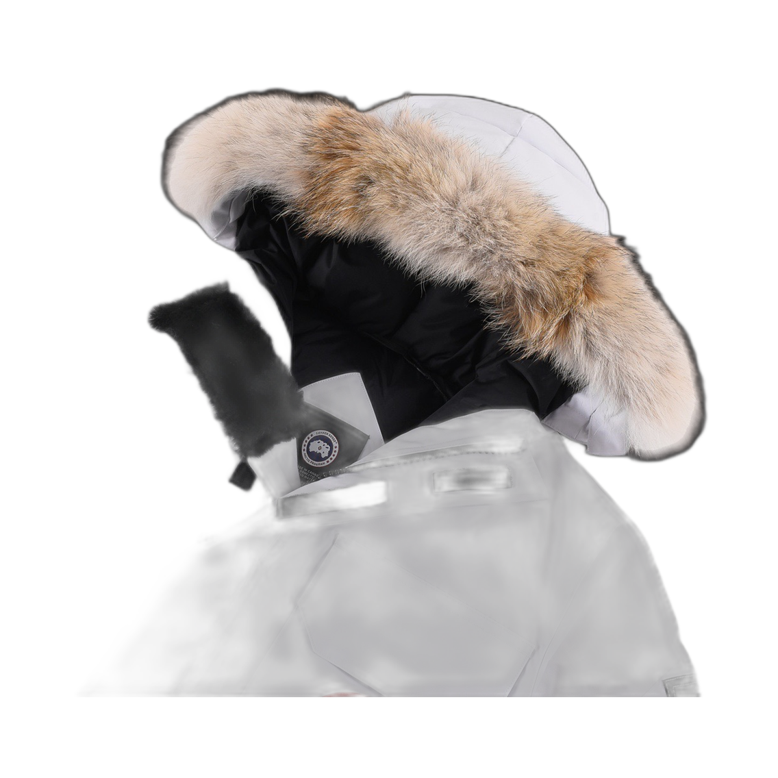 CANADA GOOSE-WHITE