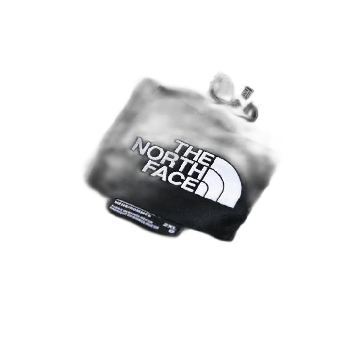 giubbotto The North Face