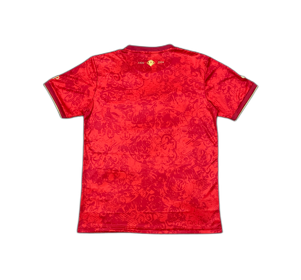 T-SHIRT SPAIN NATIONAL TEAM