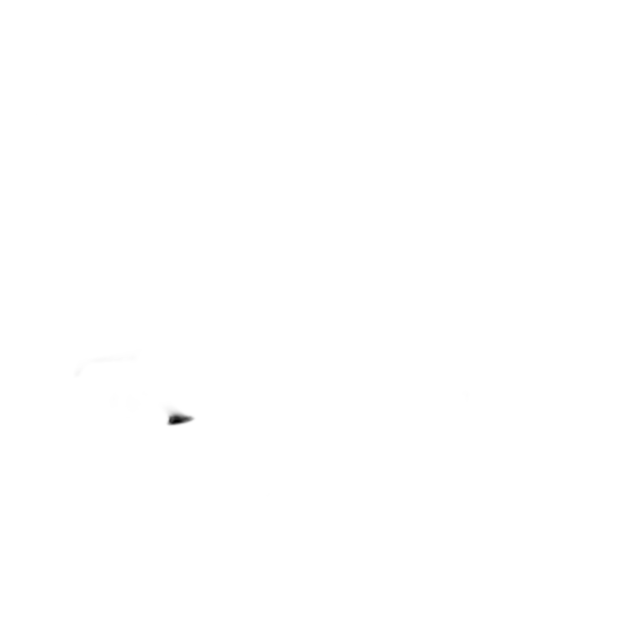 Completo-LV