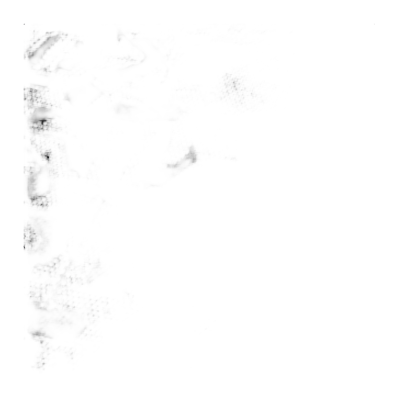 POLO – PHILIPP PLEIN