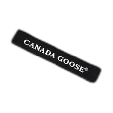 CANADA GOOSE-GRAY