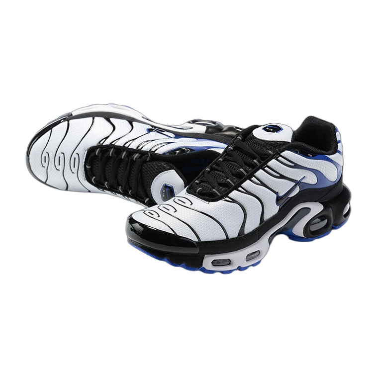 nike air max plus