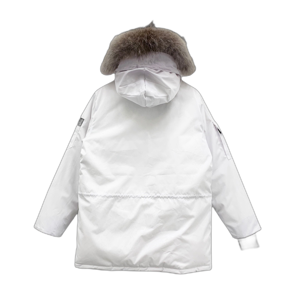 canada goose
