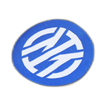 Inter Milan grey