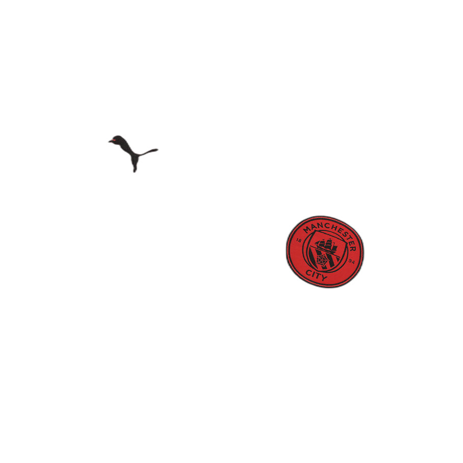 ChManchester City orange red