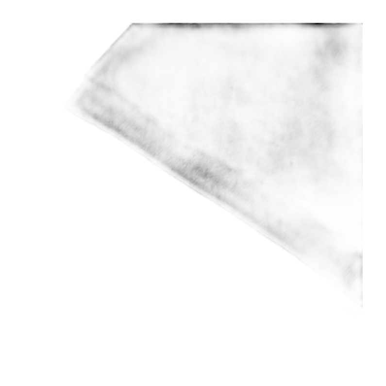 POLO – PHILIPP PLEIN
